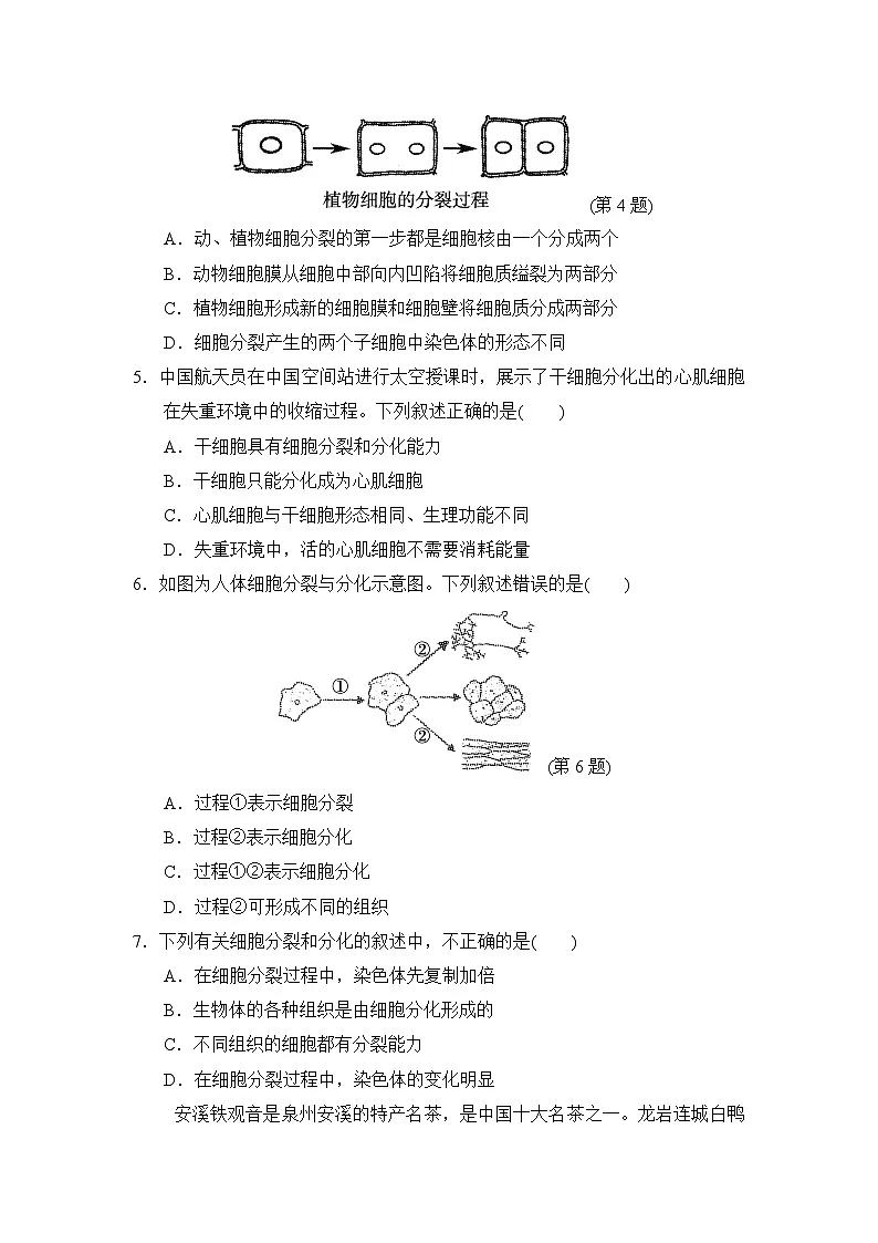 2024-2025学年七年级生物上册 第一单元第三章 单元测试卷（ 人教版）第2页