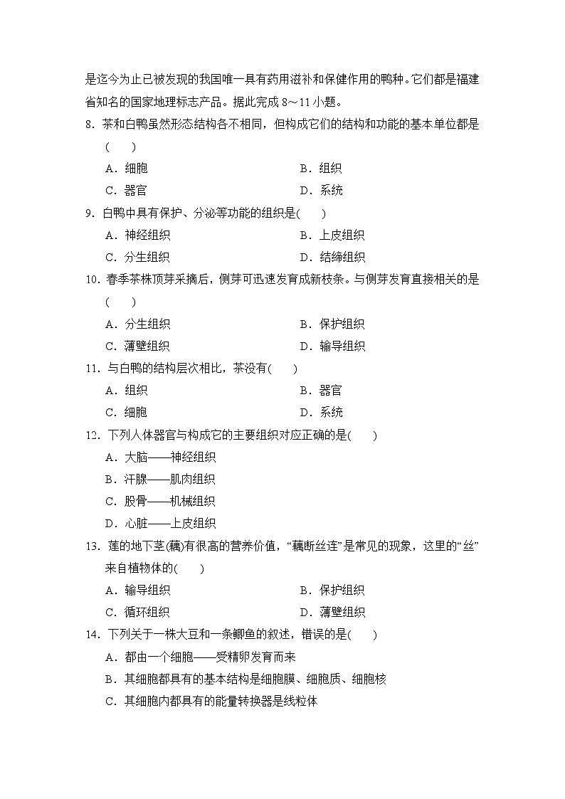 2024-2025学年七年级生物上册 第一单元第三章 单元测试卷（ 人教版）第3页