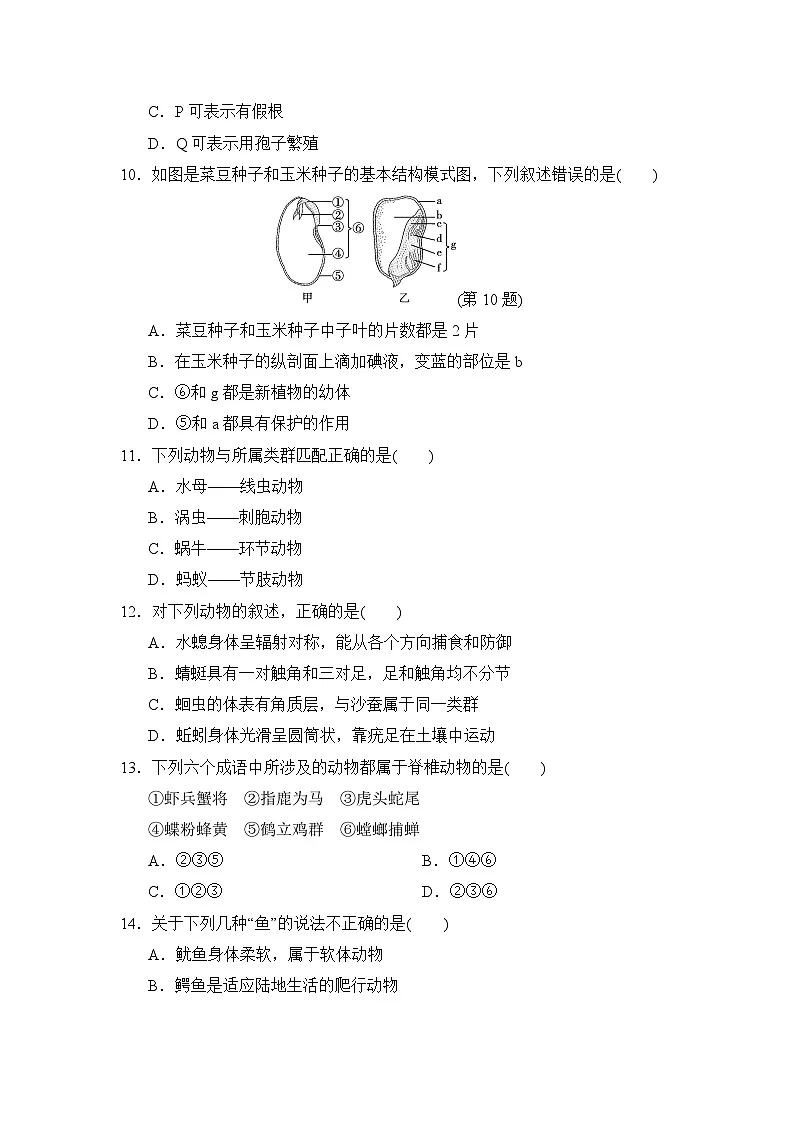 2024-2025学年七年级生物上册 第二单元第一、二章 单元测试卷（ 人教版）第3页