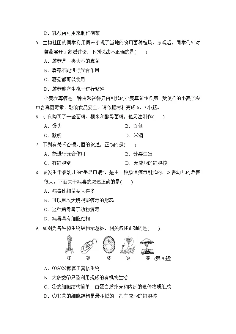 2024-2025学年七年级生物上册 第二单元第三、四章 单元测试卷（ 人教版）第2页