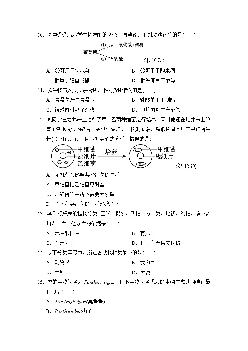 2024-2025学年七年级生物上册 第二单元第三、四章 单元测试卷（ 人教版）第3页