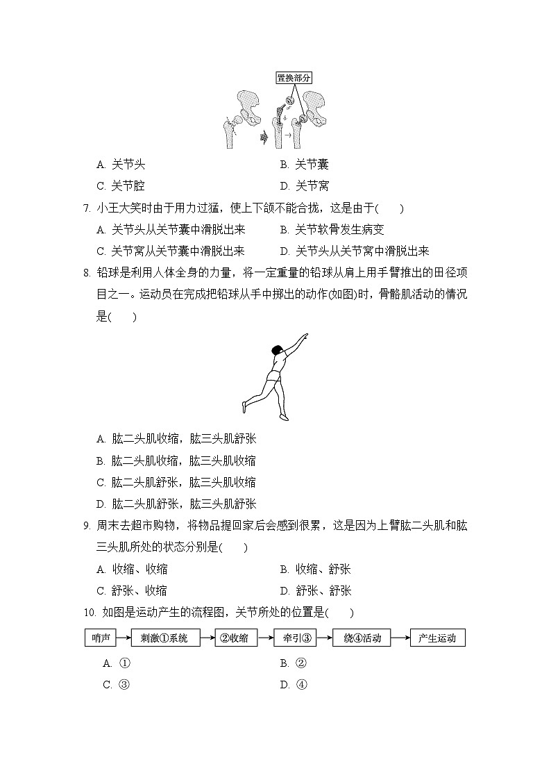 2024-2025学年八年级生物上册 第四单元 单元测试卷（冀少版）第2页