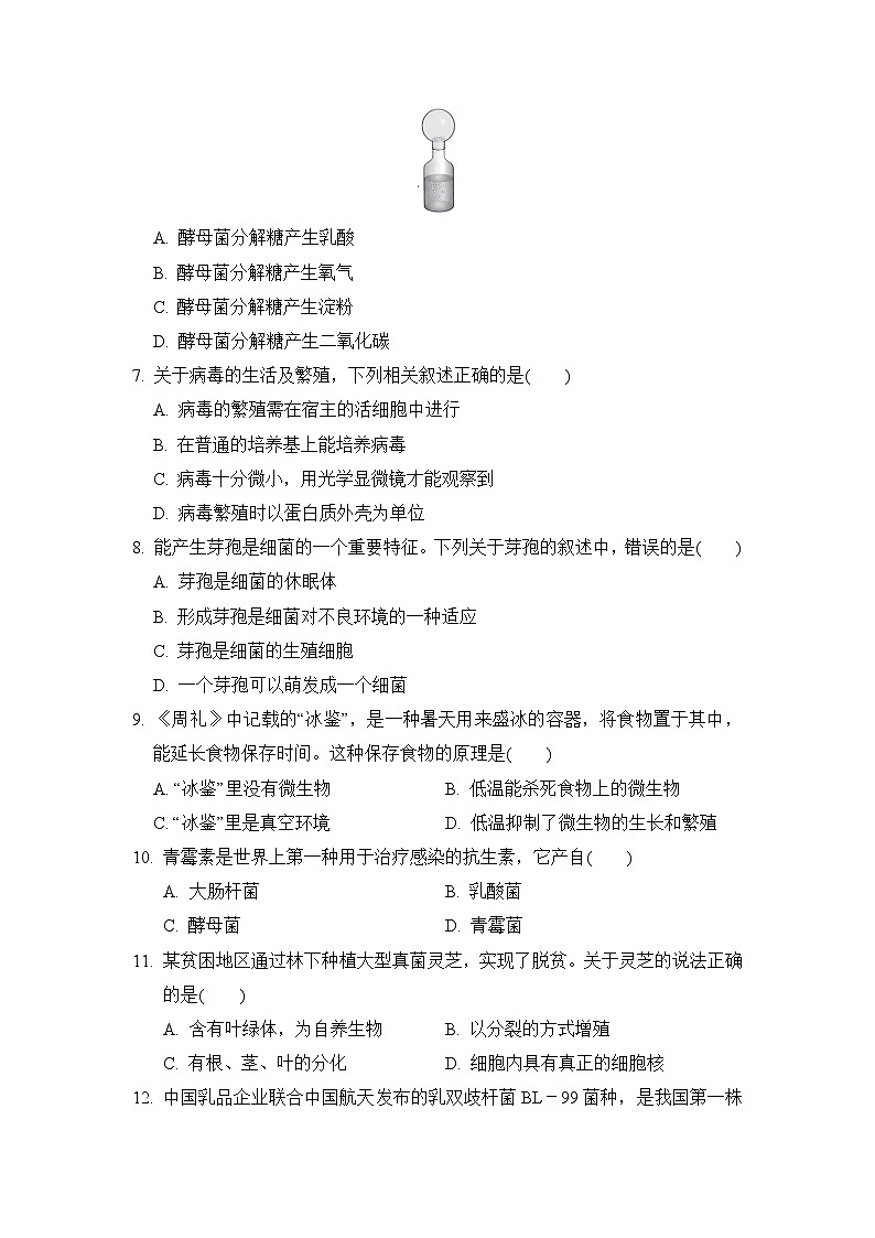 2024-2025学年八年级生物上册 第五单元 单元测试卷（冀少版）第2页