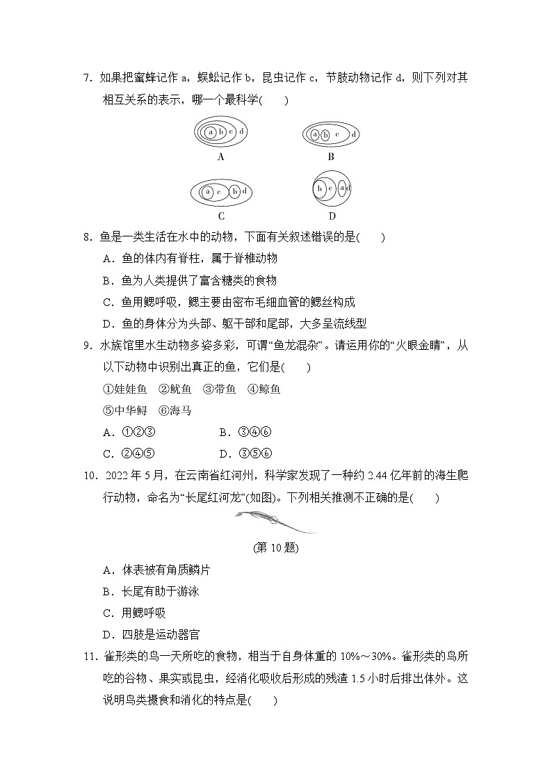 2024-2025学年八年级生物上册 第五单元第一章 单元测试卷（人教版）第2页
