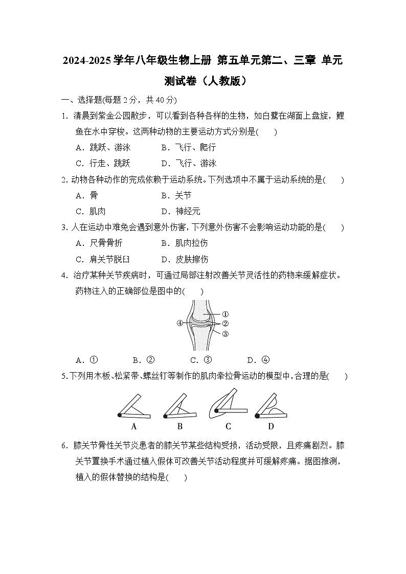 2024-2025学年八年级生物上册 第五单元第二、三章 单元测试卷（人教版）第1页