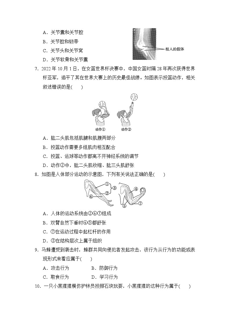 2024-2025学年八年级生物上册 第五单元第二、三章 单元测试卷（人教版）第2页