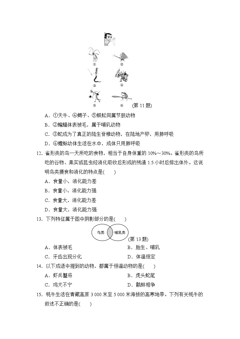 2024-2025学年八年级生物上册 第五单元第一章 单元测试卷（ 人教版）第3页