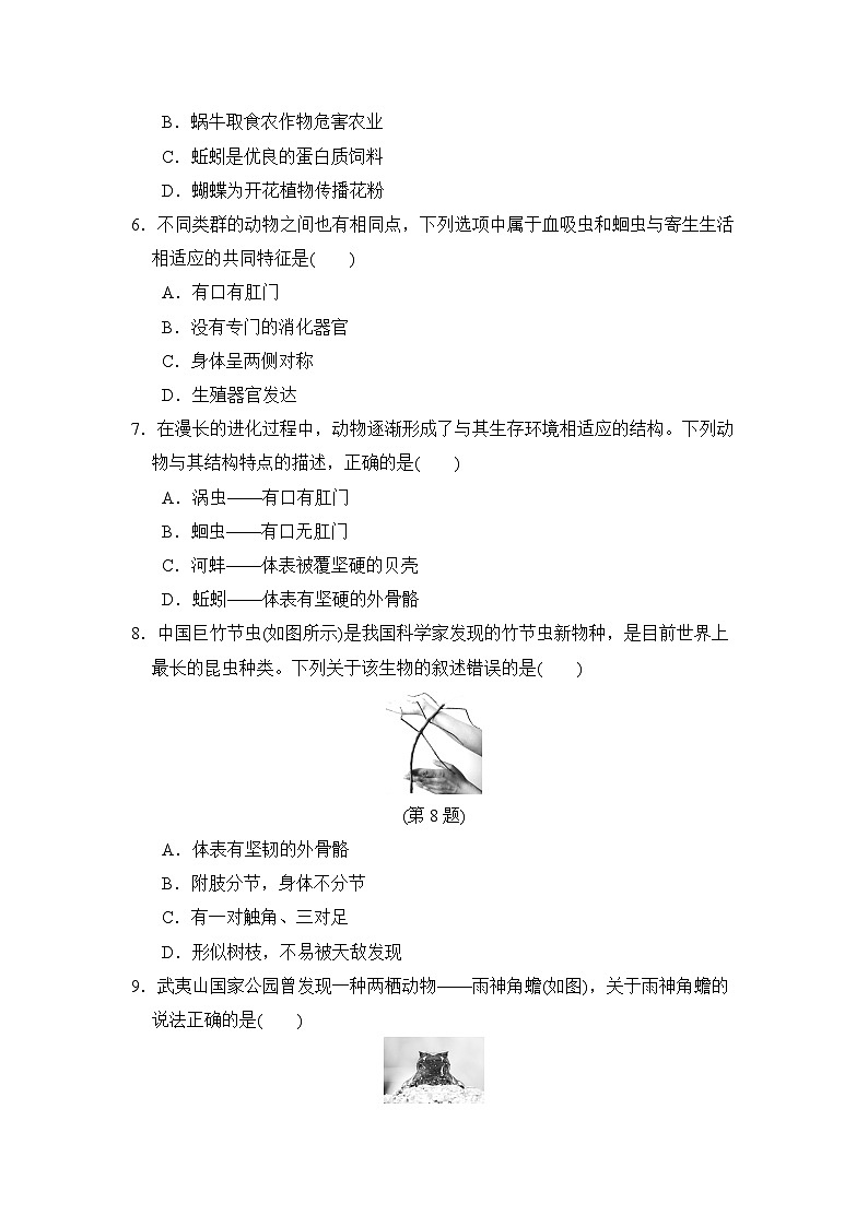 2024-2025学年八年级生物上册 第五单元第一章 单元测试卷（人教福建版）第2页