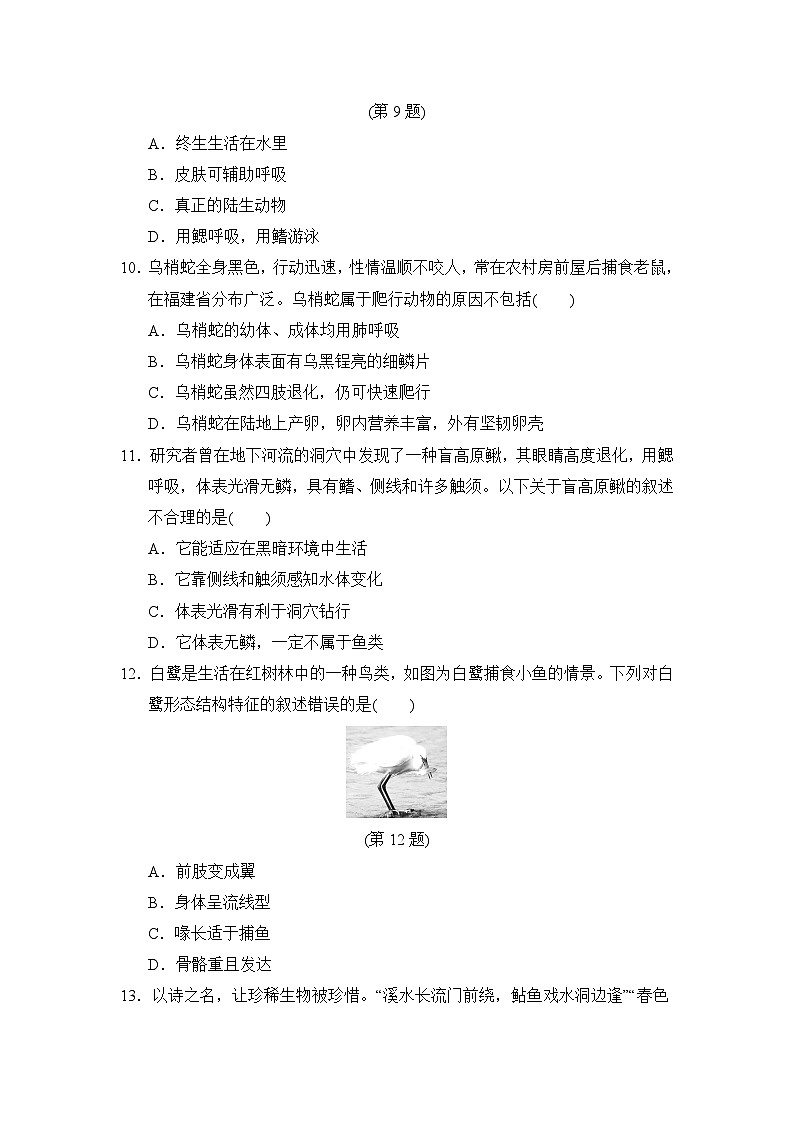 2024-2025学年八年级生物上册 第五单元第一章 单元测试卷（人教福建版）第3页