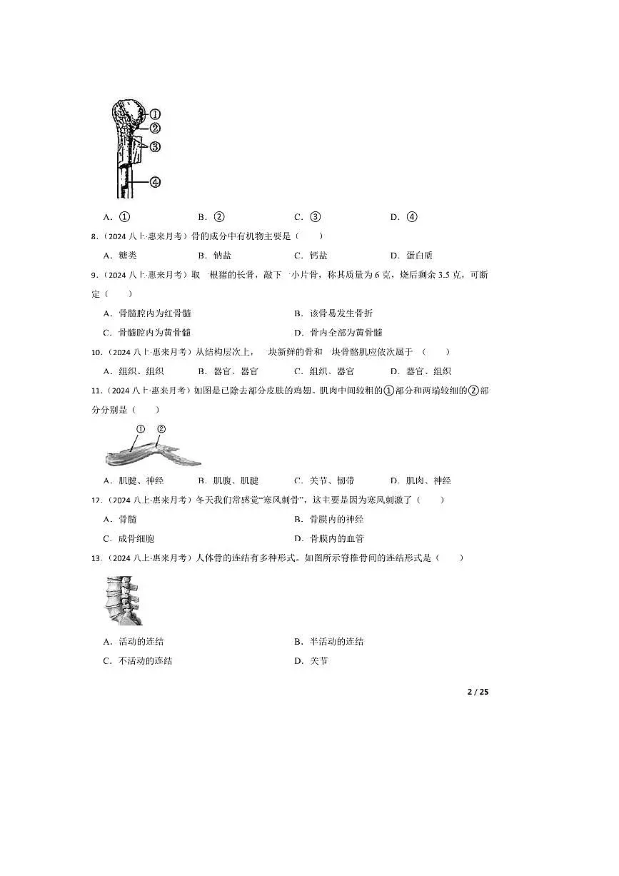 2024～2025学年广东省揭阳市惠来县八年级上(一)月考生物试卷第2页