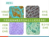 【新教材新課標(biāo)】蘇教版生物七年級上冊1.1.3 植物細(xì)胞的結(jié)構(gòu)與功能（教學(xué)課件+教學(xué)設(shè)計(jì)）