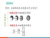 【新教材新課標(biāo)】蘇教版生物七年級上冊1.2.1 細(xì)胞的分裂和分化（教學(xué)課件+教學(xué)設(shè)計）
