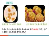 【新教材新課標(biāo)】蘇教版生物七年級(jí)上冊(cè)1.1.1 走進(jìn)生物學(xué)實(shí)驗(yàn)室 第1課時(shí)（教學(xué)課件+教學(xué)設(shè)計(jì)）