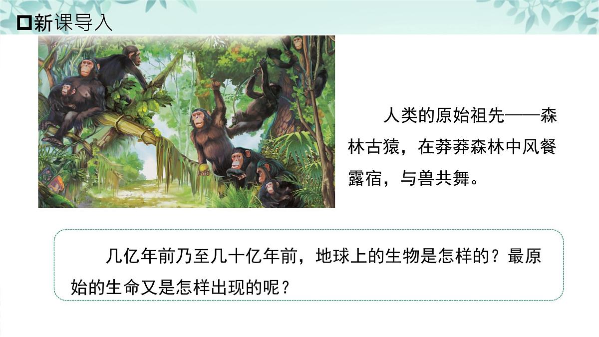 【核心素养目标】北京版初中生物八年级上册4.3.1《生命的起源》课件第1页