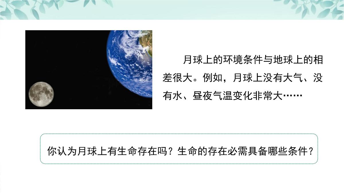 【核心素养目标】北京版初中生物八年级上册4.3.1《生命的起源》课件第5页