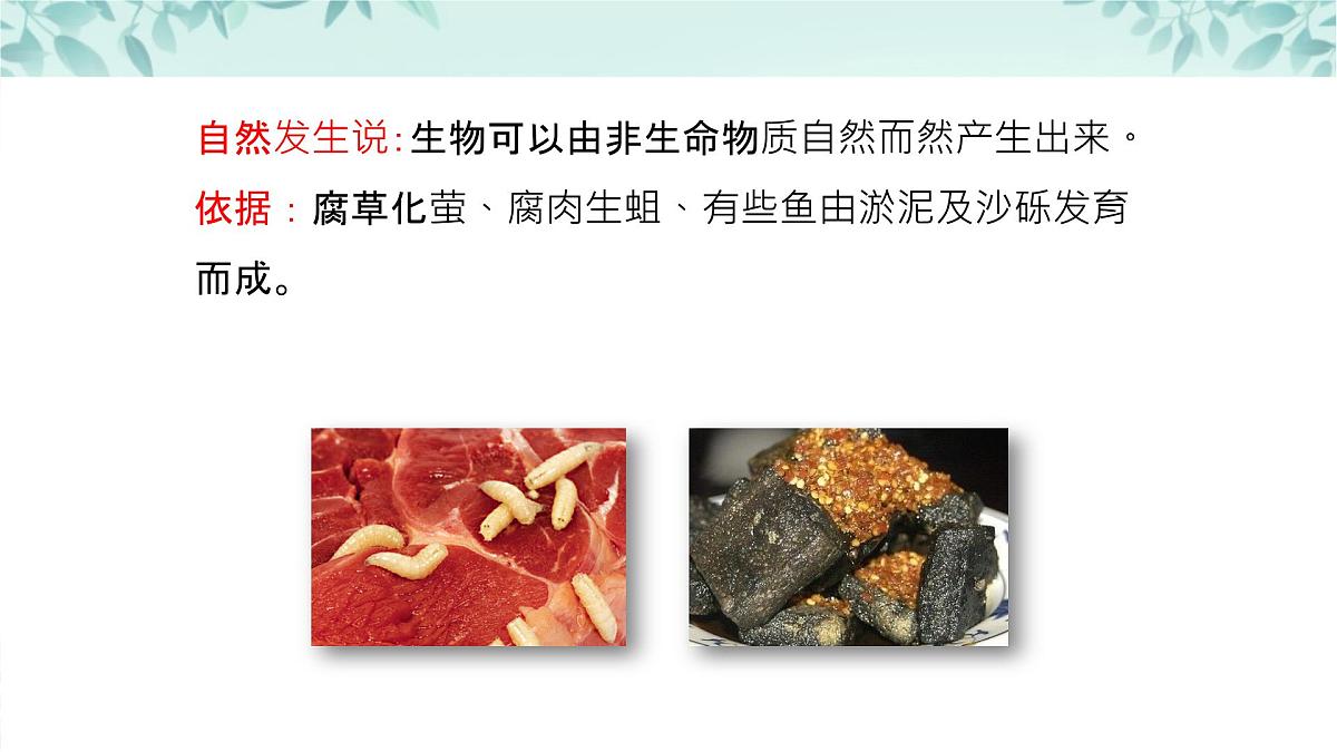 【核心素养目标】北京版初中生物八年级上册4.3.1《生命的起源》课件第7页