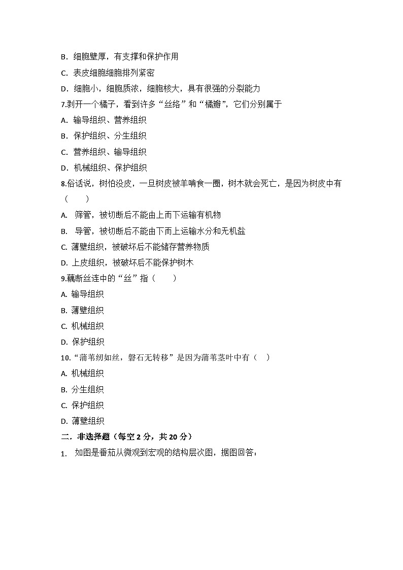 人教版初中生物学七年级上册1.3.3植物体的结构层次练习题带答案解析第2页