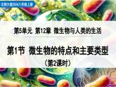 北師大版生物八年級(jí)上冊(cè)5.12.1 微生物的特點(diǎn)和主要類型 第2課時(shí) 課件
