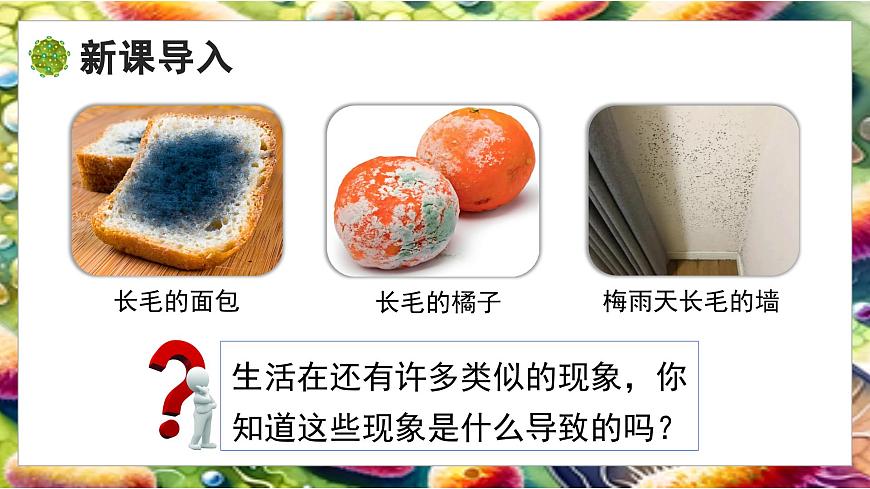 北师大版生物八年级上册5.12.1 微生物的特点和主要类型 第2课时 课件第3页