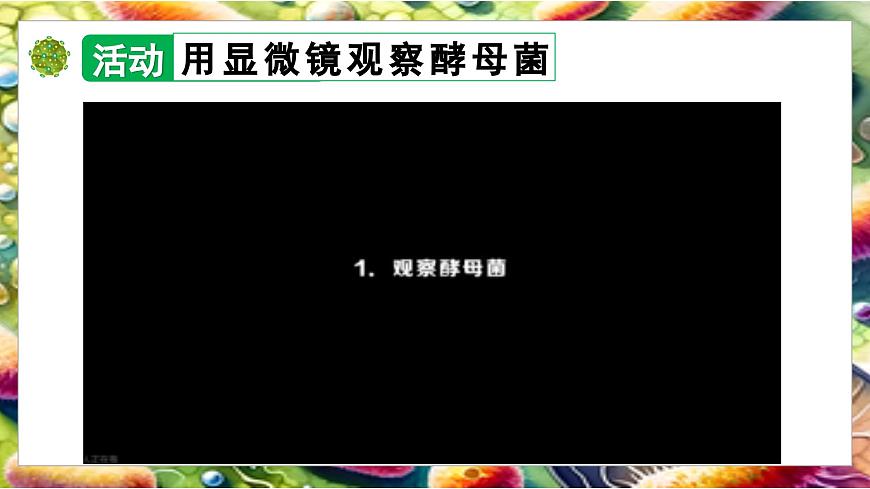 北师大版生物八年级上册5.12.1 微生物的特点和主要类型 第2课时 课件第7页