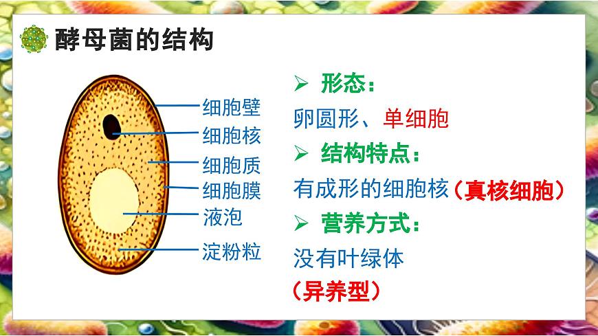 北师大版生物八年级上册5.12.1 微生物的特点和主要类型 第2课时 课件第8页