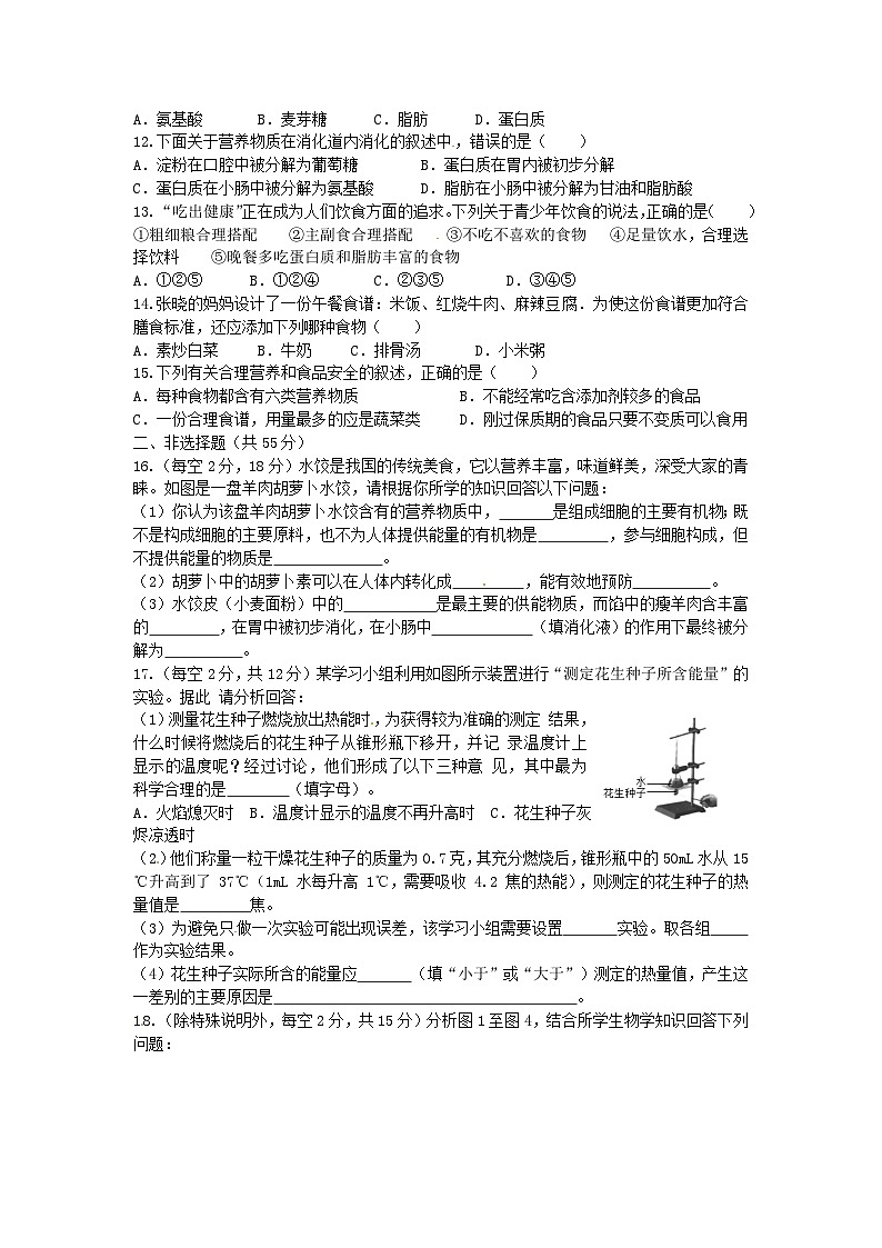 人教版七年级生物下册单元检测练习：第二章人体的营养检测题-含答案第2页