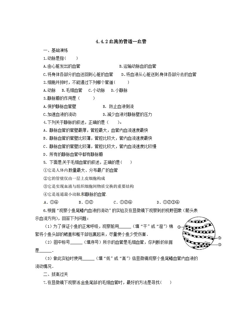 人教版七年级生物下册血管同步练习试卷含答案第1页