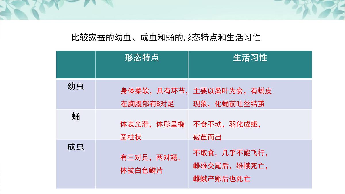【核心素养目标】北京版初中生物八年级上册4.1.3《动物的生殖和发育》课件第7页