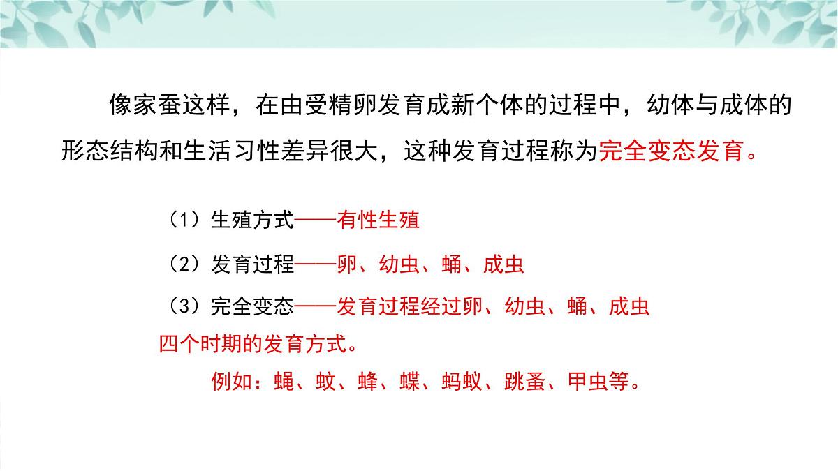 【核心素养目标】北京版初中生物八年级上册4.1.3《动物的生殖和发育》课件第8页