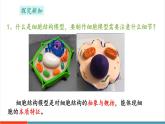【新教材新課標】蘇教版生物七年級上冊跨學科實踐 制作細胞結(jié)構(gòu)模型（教學課件+教學設(shè)計）