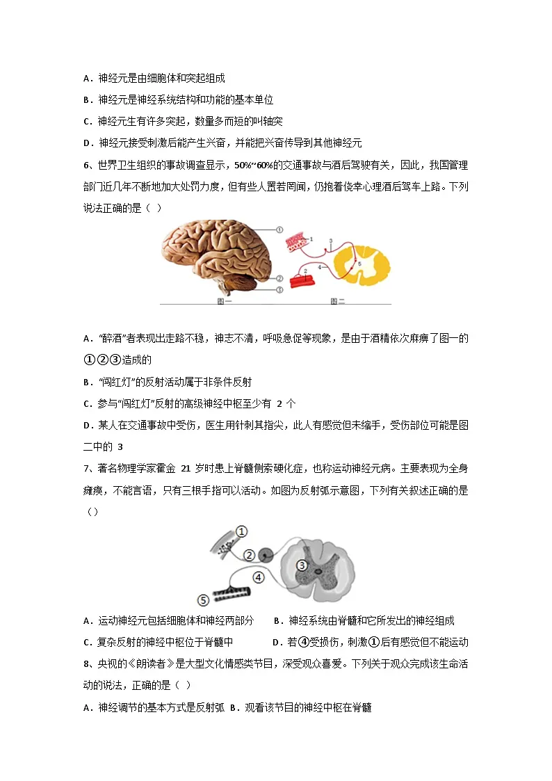 2024人教版初中生物八年级上册同步习题4.6.2神经调节（含答案+详细解析）第2页