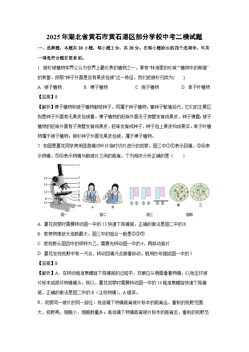 【生物】2025年湖北省黄石市黄石港区部分学校中考二模试题（解析版）第1页
