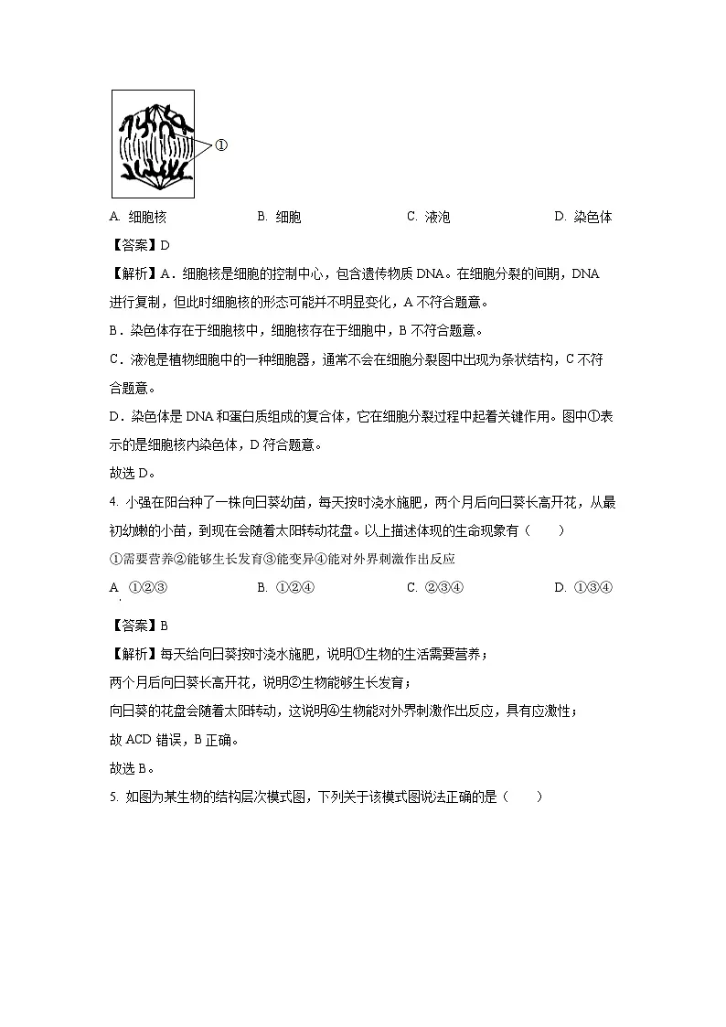 【生物】2025年江苏省盐城市亭湖区八年级中考二模试题（解析版）第2页