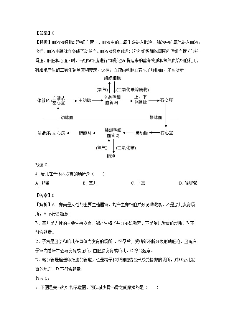 【生物】2025年辽宁省葫芦岛市兴城市八年级中考模拟试题（二）（解析版）第2页
