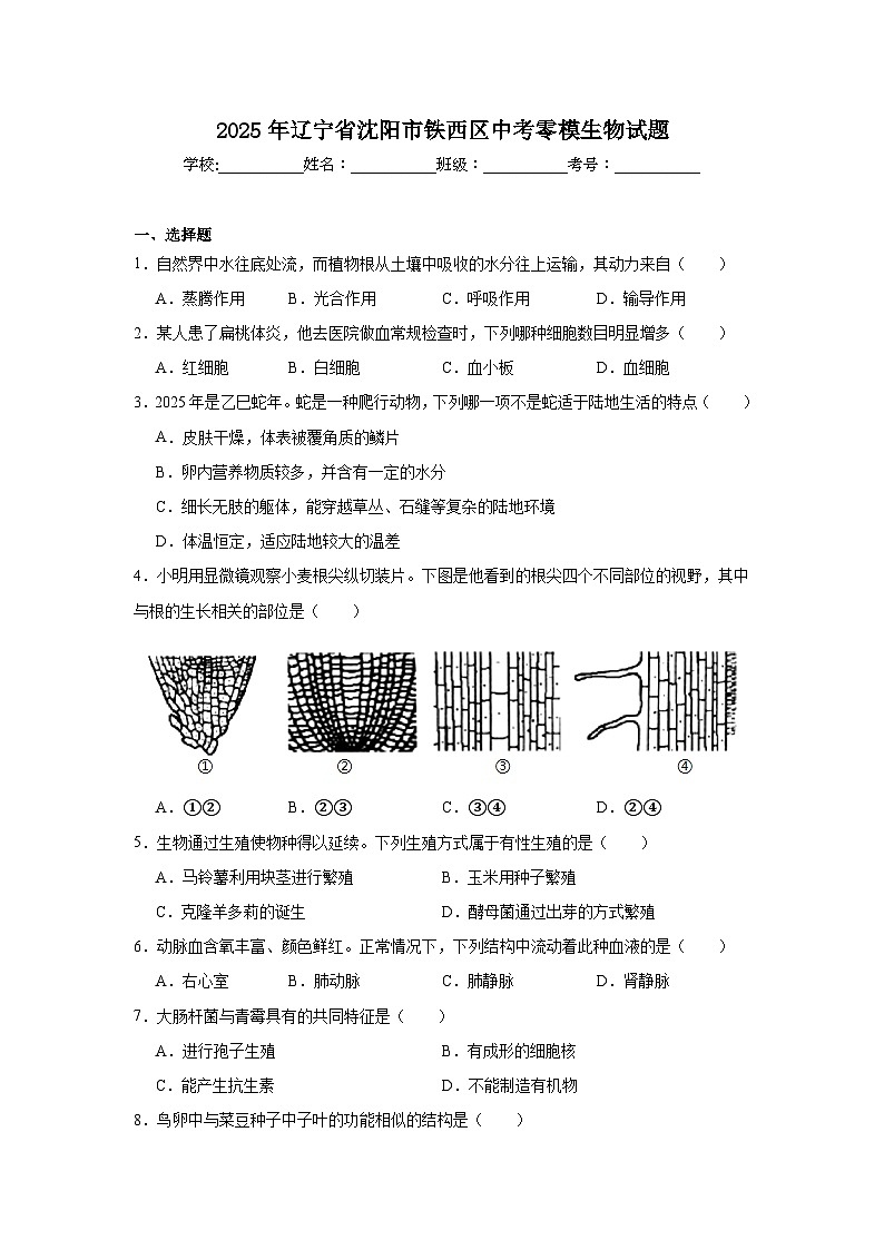 2025年辽宁省沈阳市铁西区中考零模生物试题（附答案解析）第1页