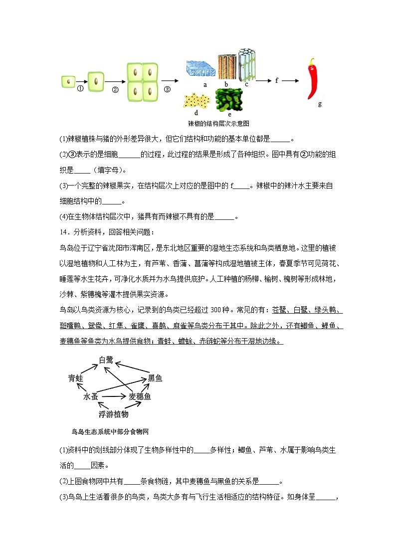 2025年辽宁省沈阳市铁西区中考零模生物试题（附答案解析）第3页
