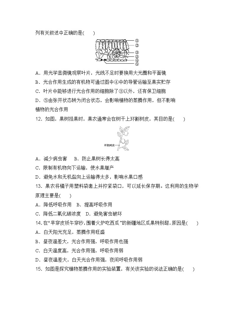 第五单元第二、三章学情评估卷(含答案)2025-2026学年冀少版八年级生物上册第3页