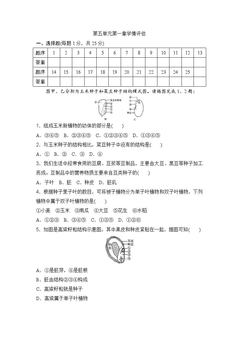 第五单元第一章学情评估卷(含答案)2025-2026学年冀少版八年级生物上册第1页