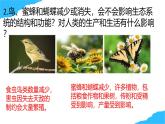 【核心生物】人教版初中生物八年級上冊5.2.1《 分析人類活動對生態(tài)環(huán)境的影響》課件＋課時練習(xí)＋教案（含教學(xué)反思）