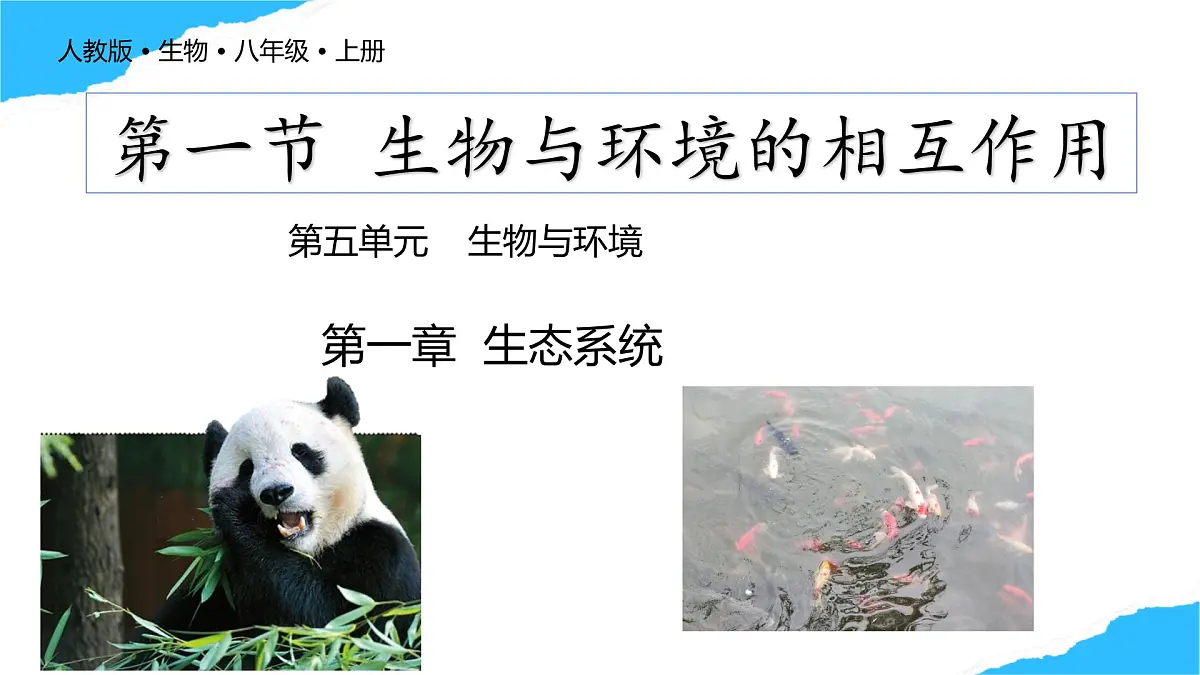 【核心生物】人教版初中生物八年级上册5.1.1《 生物与环境的相互作用》课件第1页