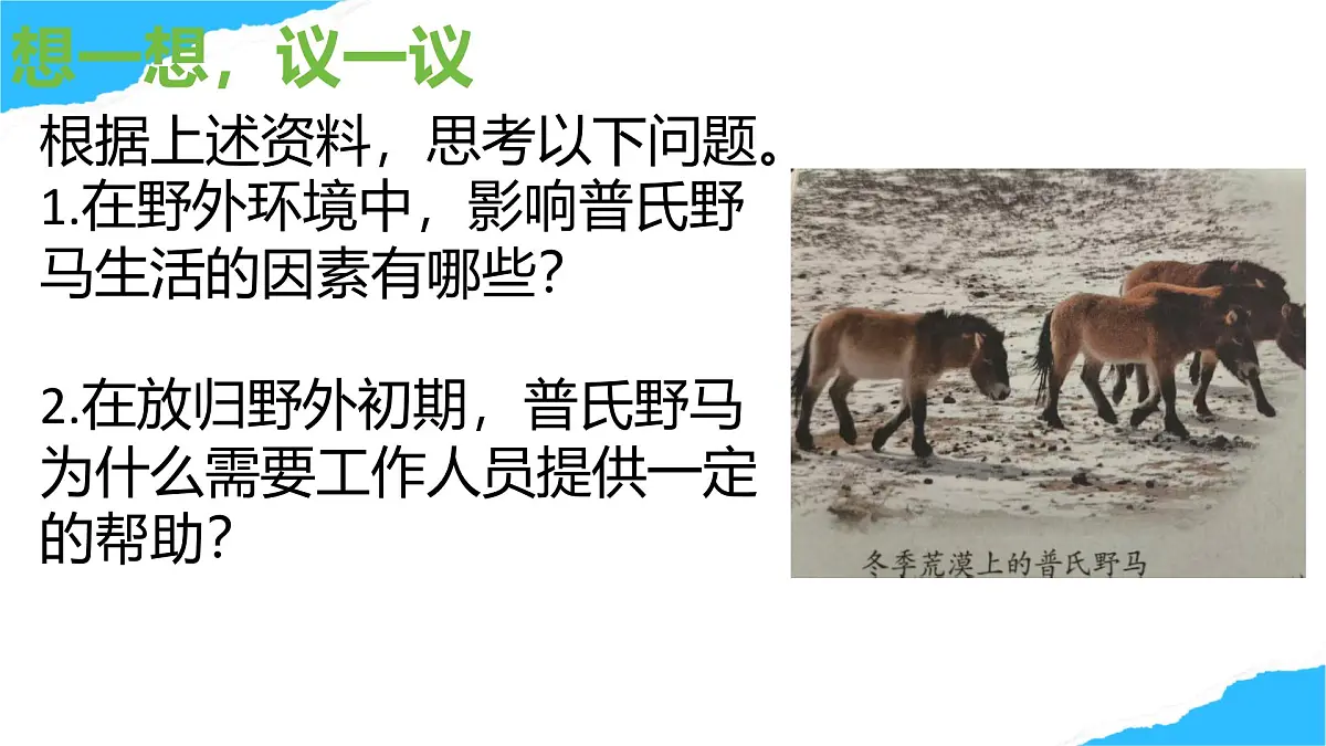 【核心生物】人教版初中生物八年级上册5.1.1《 生物与环境的相互作用》课件第4页