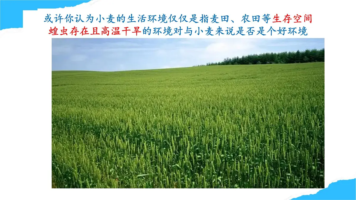 【核心生物】人教版初中生物八年级上册5.1.1《 生物与环境的相互作用》课件第5页