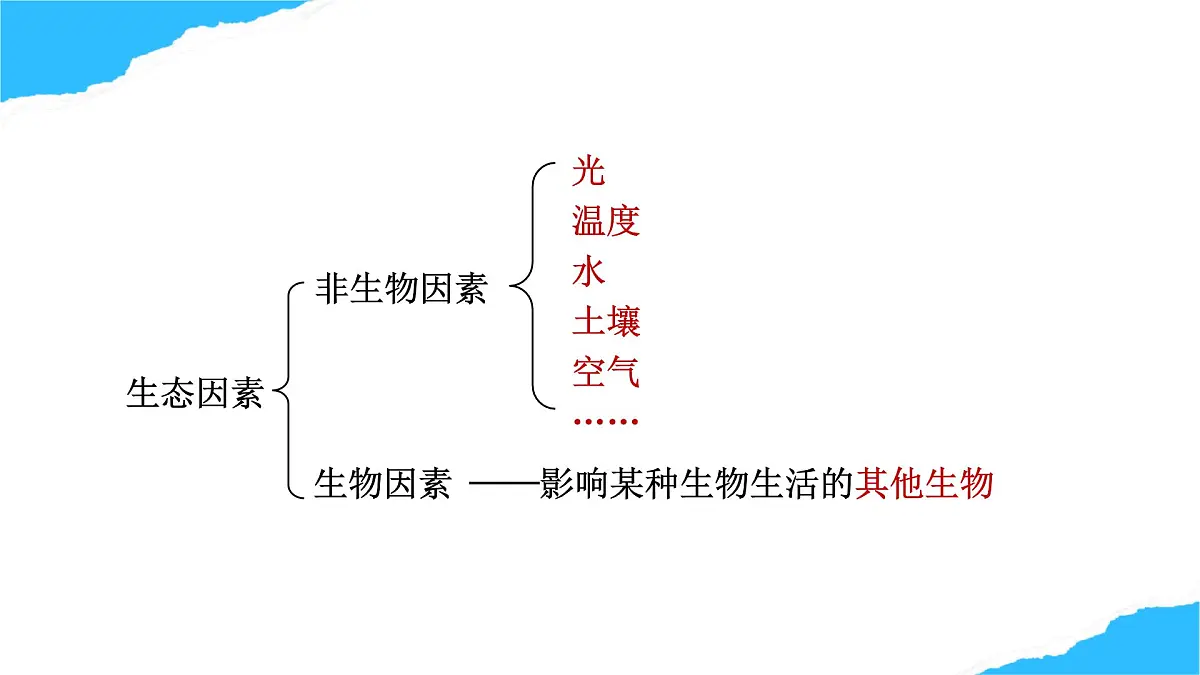 【核心生物】人教版初中生物八年级上册5.1.1《 生物与环境的相互作用》课件第8页