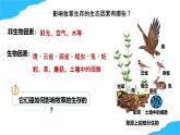 【核心生物】人教版初中生物八年級上冊5.1.2《 生態(tài)系統(tǒng)的結(jié)構(gòu)和功能》課件＋課時練習(xí)＋教案（含教學(xué)反思）
