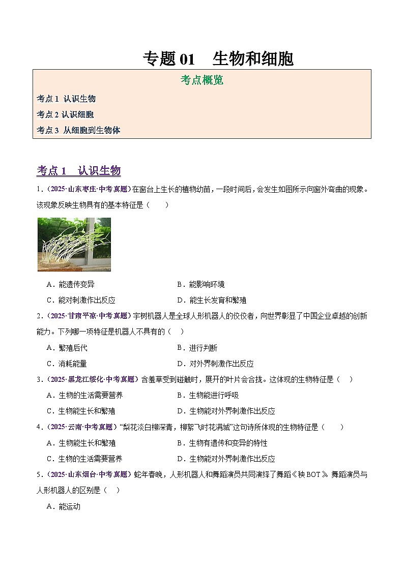 2025年中考生物真题分类汇编：专题01 生物和细胞（全国通用）（第01期）（原卷版）第1页