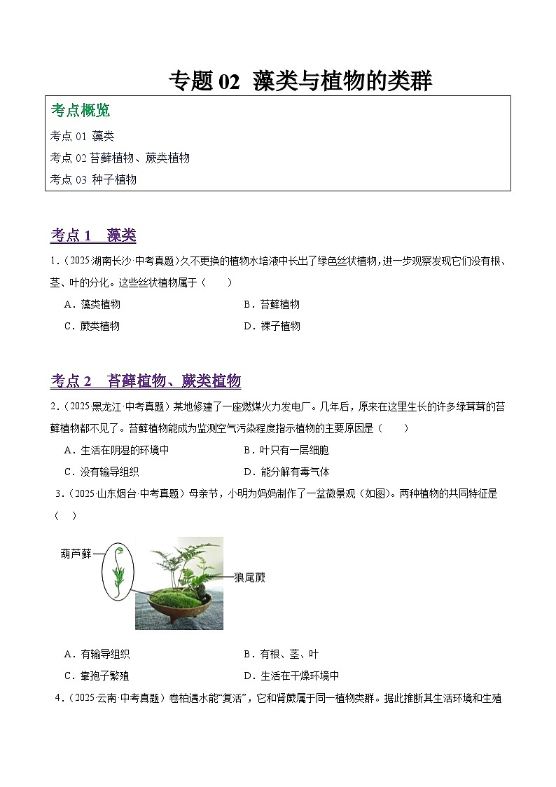 2025年中考生物真题分类汇编：专题02 藻类与植物的类群（全国通用）（第01期）（原卷版）第1页