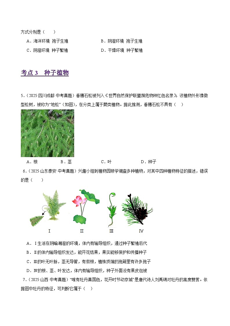 2025年中考生物真题分类汇编：专题02 藻类与植物的类群（全国通用）（第01期）（原卷版）第2页
