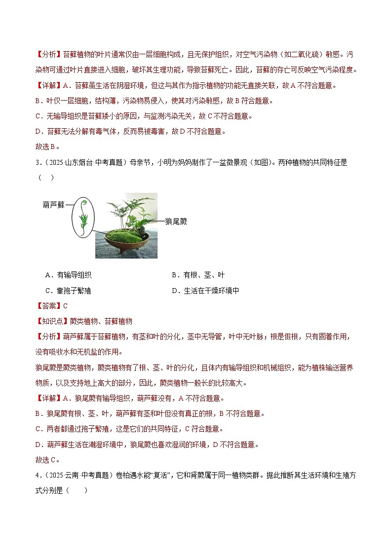 2025年中考生物真题分类汇编：专题02 藻类与植物的类群（全国通用）（第01期）（解析版）第2页
