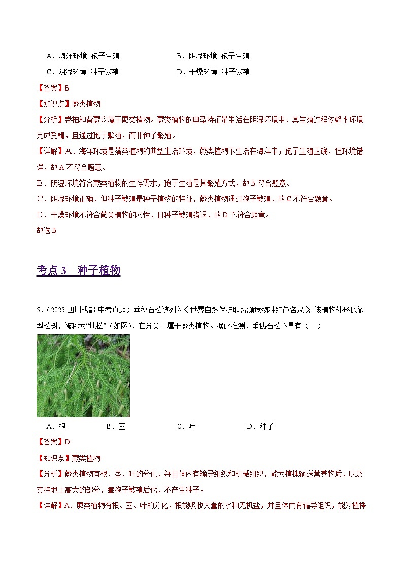 2025年中考生物真题分类汇编：专题02 藻类与植物的类群（全国通用）（第01期）（解析版）第3页