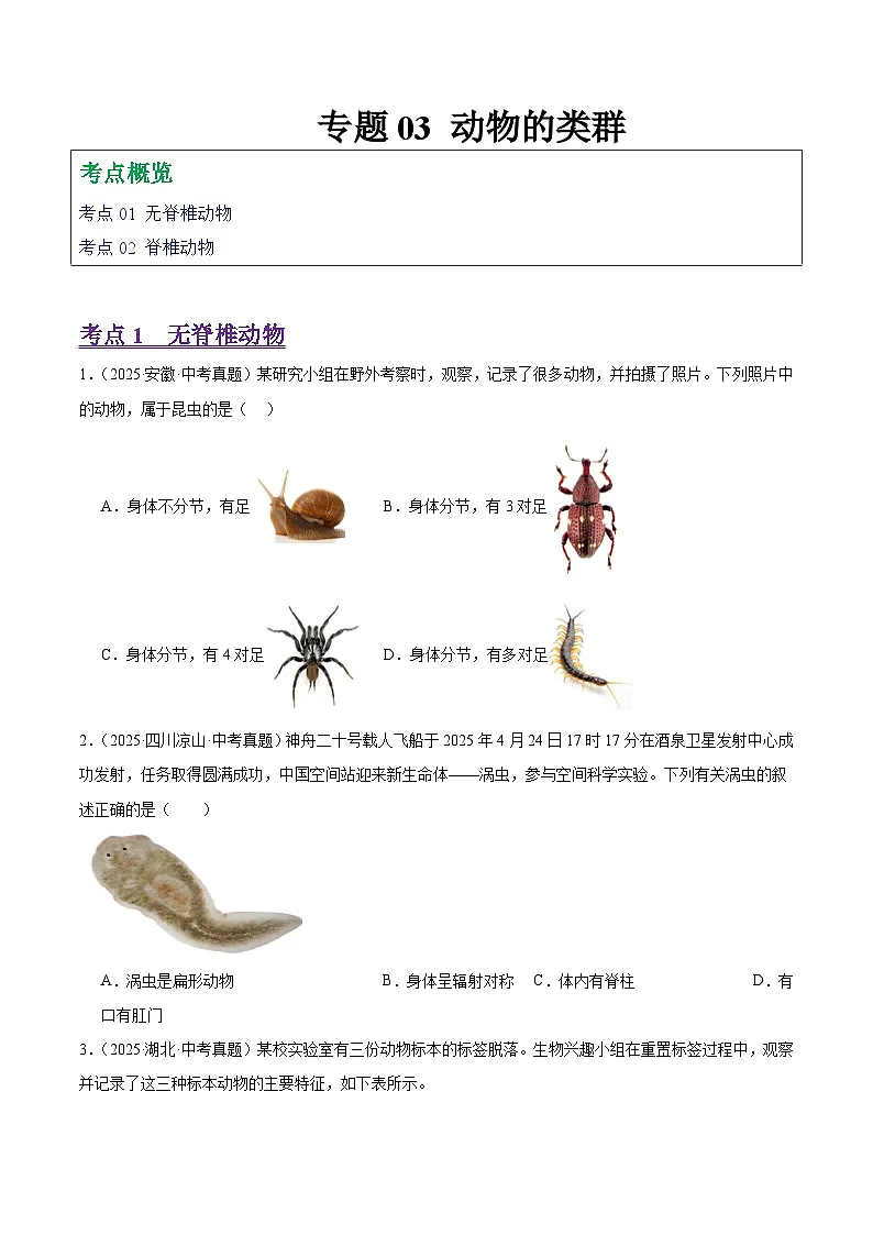 2025年中考生物真题分类汇编：专题03 动物的类群（全国通用）（第01期）（原卷版）第1页